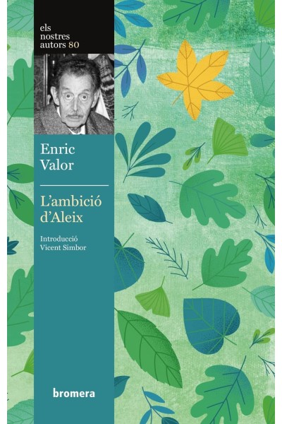 L'AMBICIÓ D'ALEIX