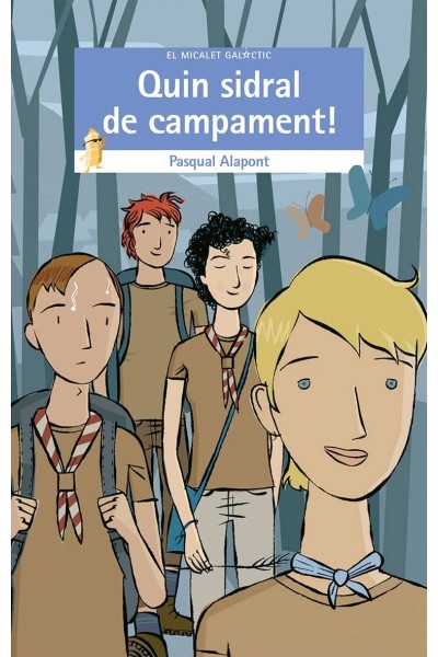 QUIN SIDRAL DE CAMPAMENT