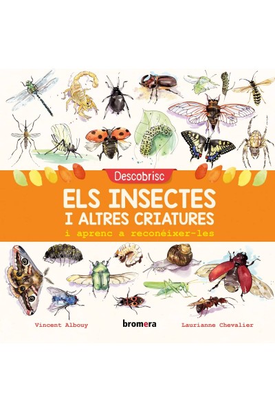 DESCOBRISC ELS INSECTES I ALTRES CRIATURES I APRENC A RECONÈIXER-LES
