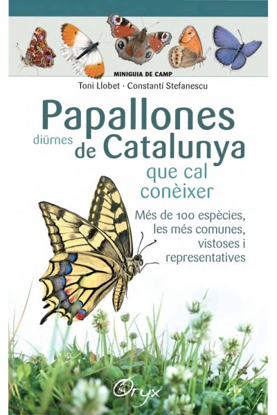 PAPALLONES DIURNES DE CATALUNYA