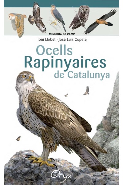 OCELLS RAPINYAIRES DE CATALUNYA