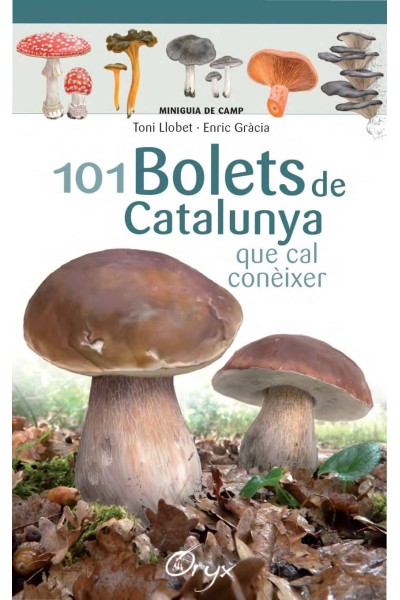 101 BOLETS DE CATALUNYA