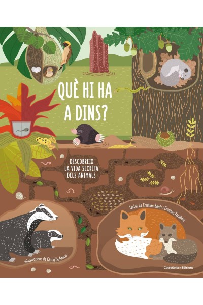 QUÈ HI HA DINS?