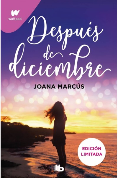 DESPUÉS DE DICIEMBRE (EDICIÓN REVISADA POR LA AUTORA) (EDICIÓN LIMITADA) (MESES A TU LADO 2)