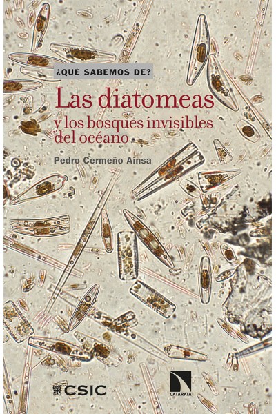 LAS DIATOMEAS Y LOS BOSQUES INVISIBLES DEL OCÉANO