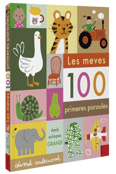 LES MEVES 100 PRIMERES PARAULES