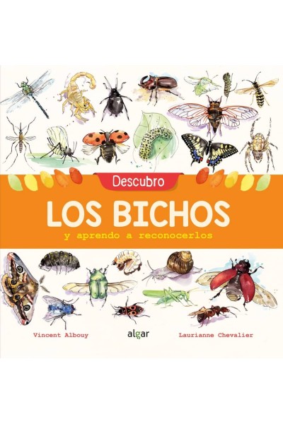 DESCUBRO LOS BICHOS Y APRENDO A RECONOCERLOS