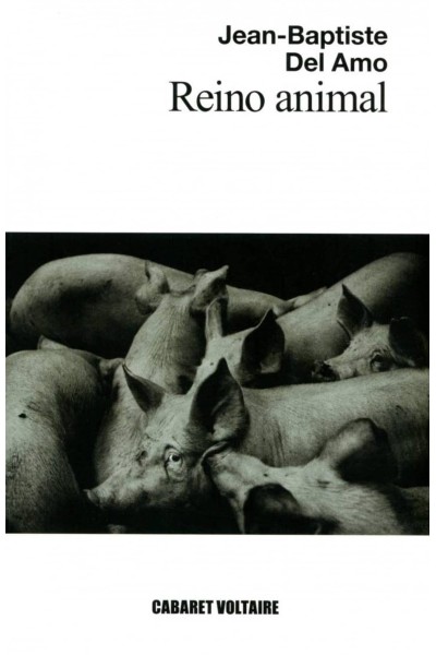REINO ANIMAL