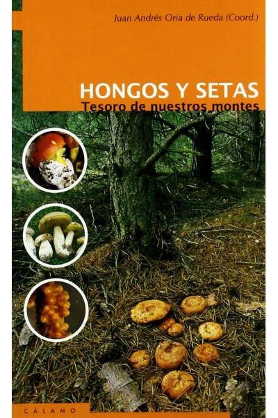 HONGOS Y SETAS: TESORO DE NUESTROS MONTES