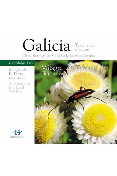 MILAGRE DA TERRA