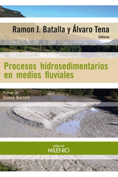 PROCESOS HIDROSEDIEMNTARIOS EN MEDIOS FLUVIALES