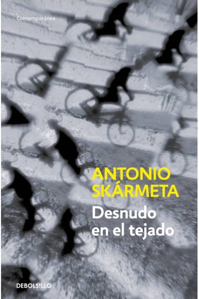 DESNUDO EN EL TEJADO