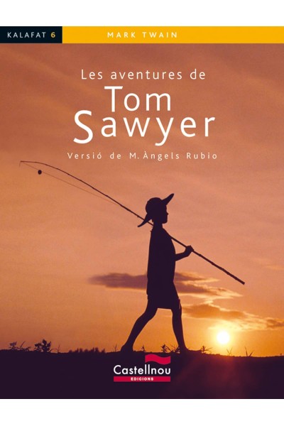 LES AVENTURES DE TOM SAWYER