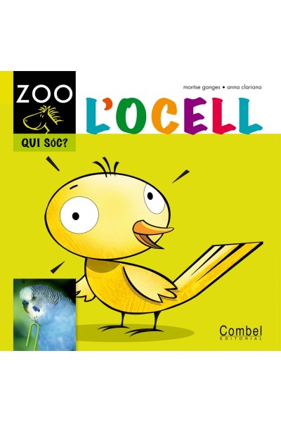 L'OCELL