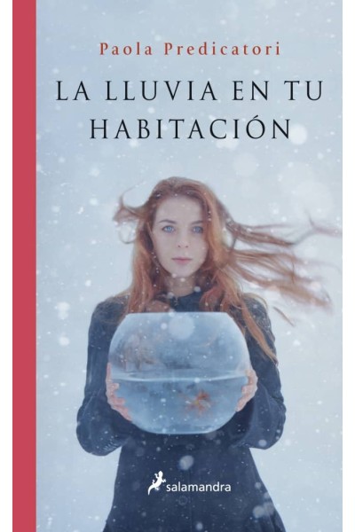 LA LLUVIA EN TU HABITACIÓN