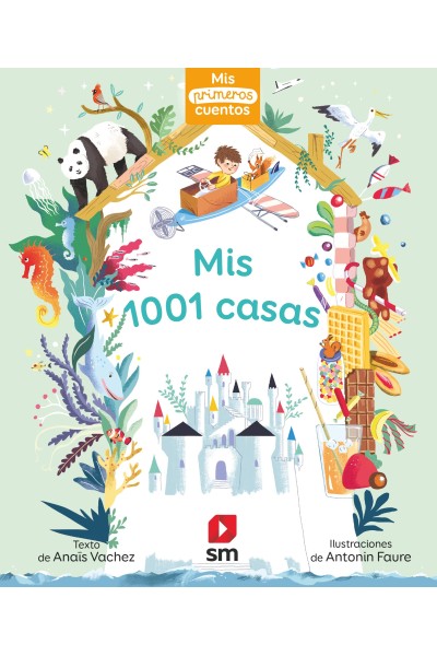 MIS 1001 CASAS