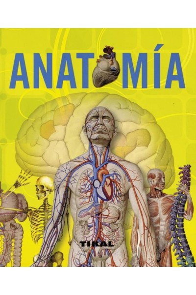 ANATOMÍA (ENCICLOPEDIA UNIVERSAL)