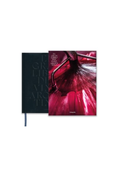 EL GRAN LIBRO DEL VINO ARGENTINO