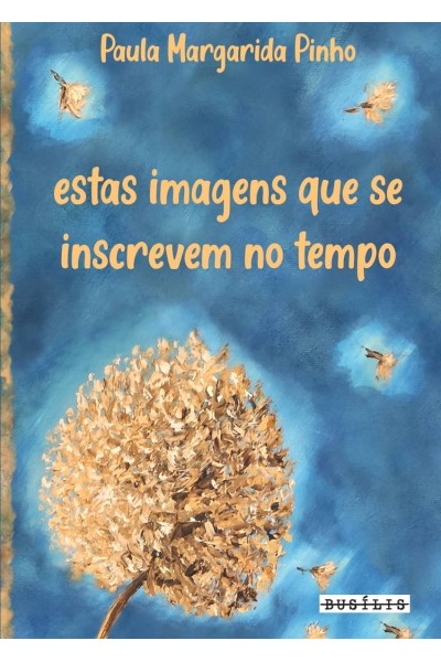 ESTAS IMAGENS QUE SE INSCREVEM NO TEMPO