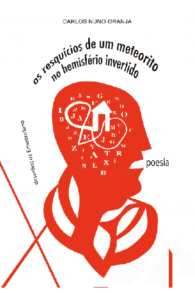 OS RESQUICIOS DE UM METEORITO NO HEMISFÉRIO INVERTIDO