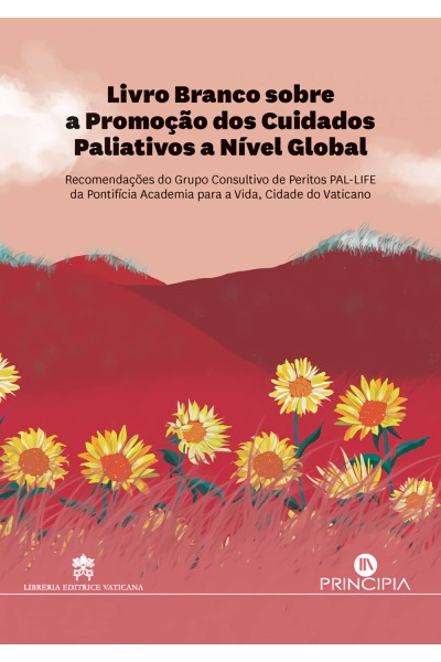 PROMOÇÃO DOS CUIDADOS PALIATIVOS A NÍVEL GLOBAL