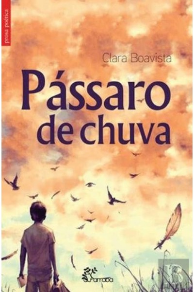 PÁSSARO DE CHUVA