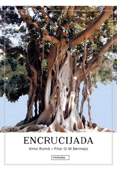 ENCRUCIJADA