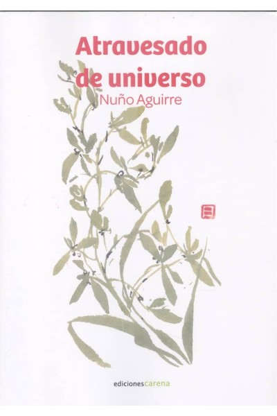 ATRAVESADO DE UNIVERSO