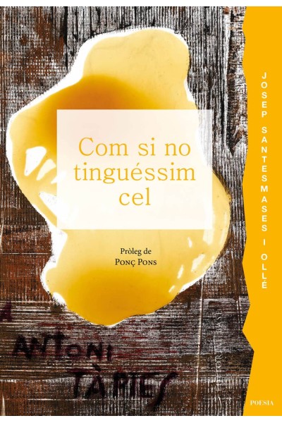 COM SI NO TINGUÉSSIM CEL