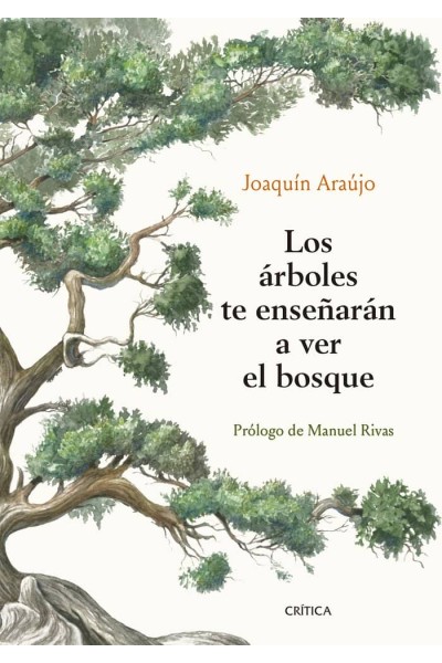 LOS ARBOLES TE ENSEÑARAN A VER EL BOSQUE