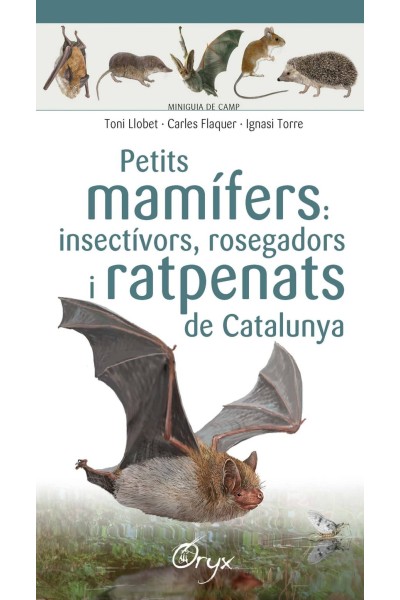 PETITS MAMÍFERS: INSECTÍVORS, ROSEGADORS I RATPENATS DE CATALUNYA