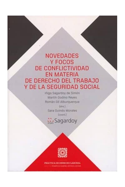 NOVEDADES Y FOCOS DE CONFLICTIVIDAD EN MATERIA DE DERECHO D