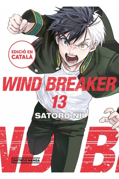 WIND BREAKER (EDICIÓ EN CATALÀ) 13