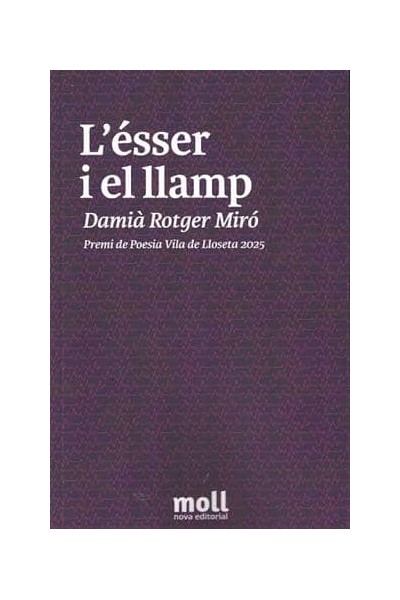 L'ÉSSER I EL LLAMP