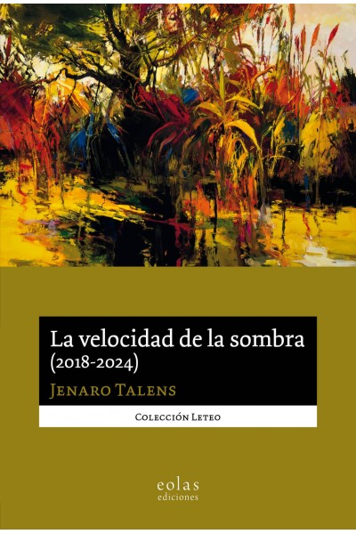 LA VELOCIDAD DE LA SOMBRA (2018-2024)