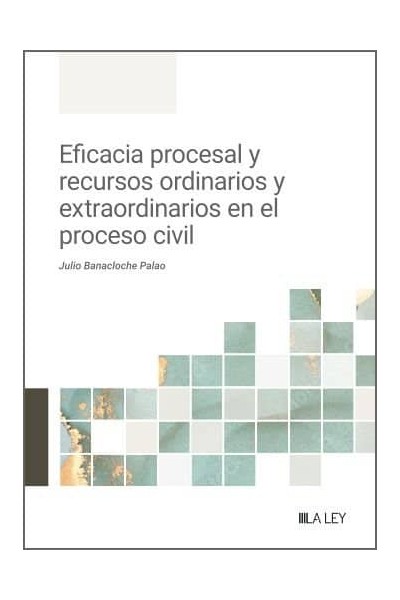 EFICACIA PROCESAL Y RECURSOS ORDINARIOS Y EXTRAORDINARIOS EN