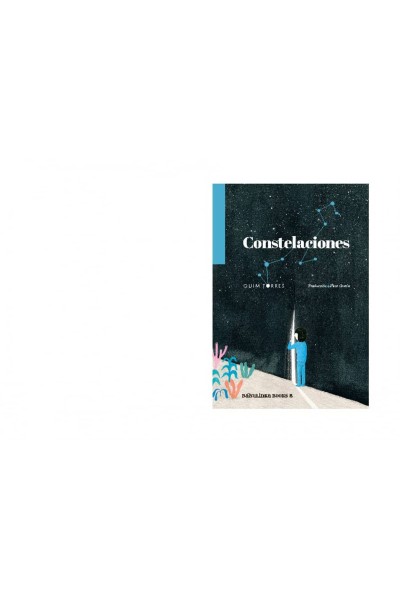 CONSTELACIONES