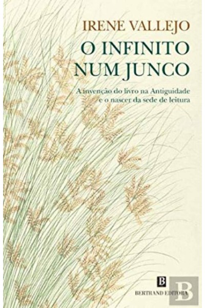O INFINITO NUM JUNCO