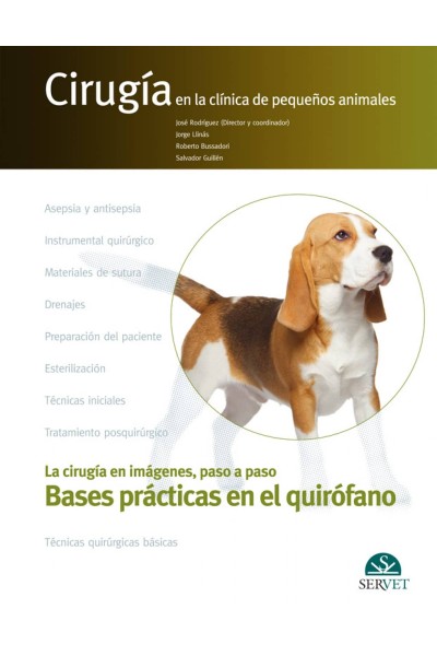BASES PRÁCTICAS EN EL QUIRÓFANO