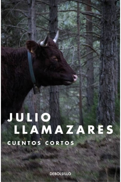 CUENTOS CORTOS