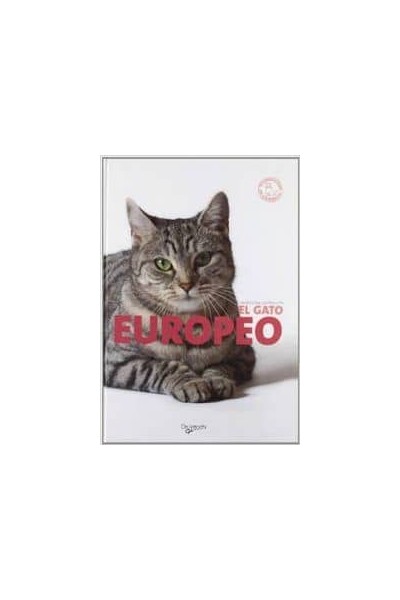 EL GATO EUROPEO