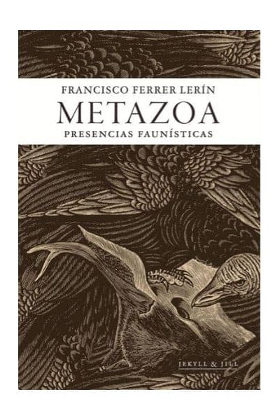 METAZOA