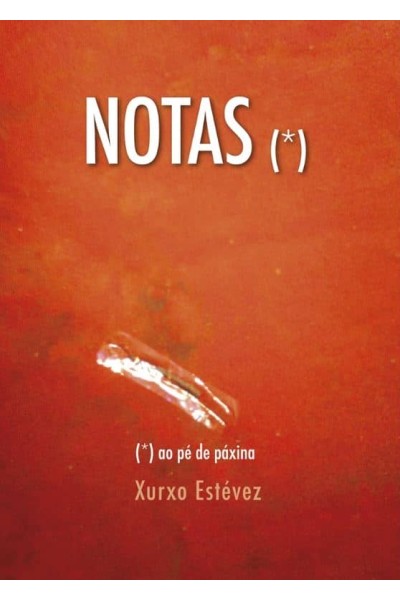 NOTAS AO PE DE PÁXINA