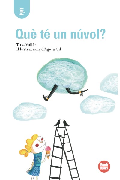 QUÈ TÉ UN NÚVOL?