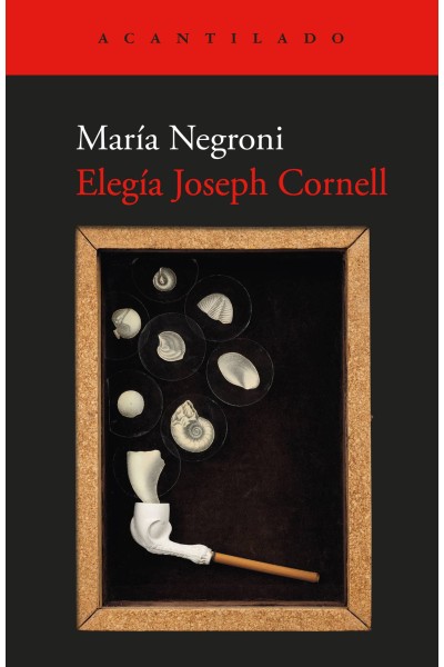 ELEGÍA JOSEPH CORNELL