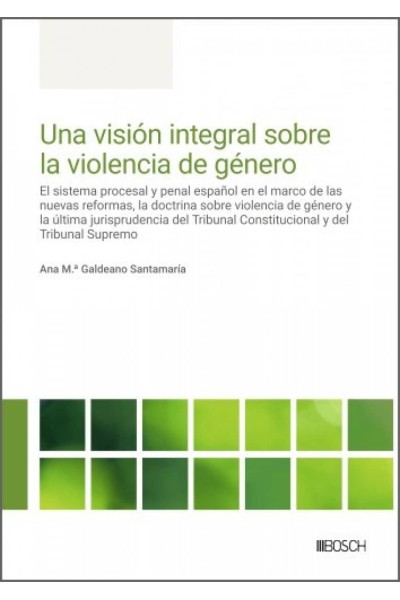 UNA VISIÓN INTEGRAL SOBRE LA VIOLENCIA DE GÉNERO