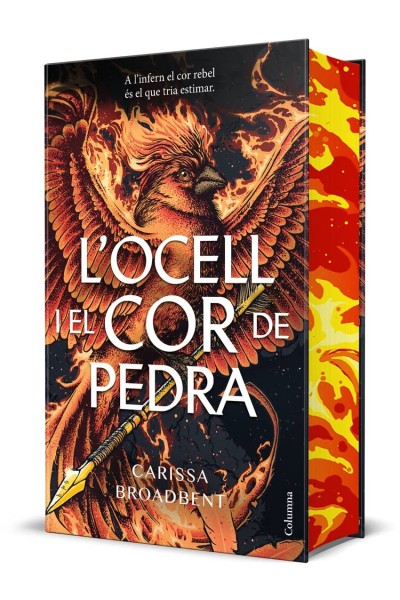 L'OCELL I EL COR DE PEDRA