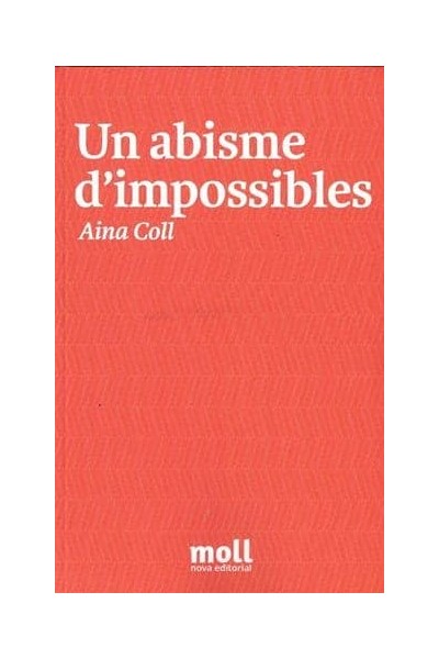 UN ABISME D'IMPOSSIBLES
