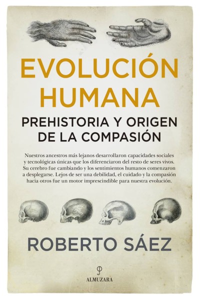 EVOLUCIÓN HUMANA