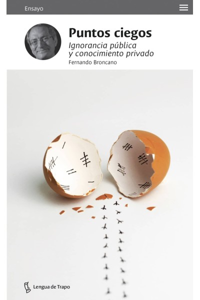 PUNTOS CIEGOS